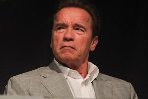 "The Celebrity Apprentice": Schwarzenegger hat die Schnauze voll