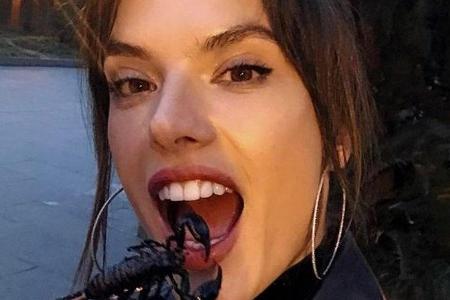 Ob Alessandra Ambrosio wirklich den Skorpion gegessen hat, bleibt fraglich Ob Alessandra Ambrosio wirklich den Skorpion gegessen hat, bleibt fraglich