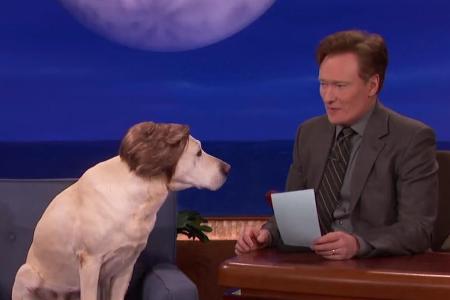 Conan O'Brien (r.) und Ryan Gosling - oder vielleicht doch nur ein Hund mit einer Perücke?