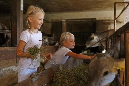 Tiere stehen bei den kleinen Südtirol-Urlaubern hoch im Kurs