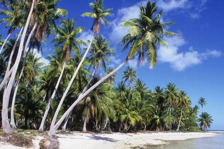 Marlon Brando pachtete einst die malerische Insel Onetahi im Südsee-Atoll Tetiaroa in Französisch-Polynesien