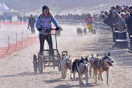 ...ging alles wie gewohnt weiter und Promis wie Mirja du Mont jagten mit ihren Hundeschlitten über den Sand von Usedom. Dami...