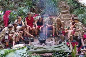 Welcher Star fliegt als Erstes aus dem Dschungelcamp?