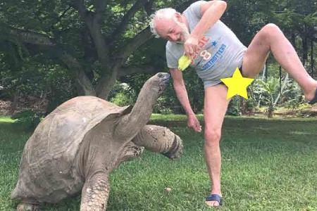 Didi Schildkröte.jpg Didi Schildkröte.jpg