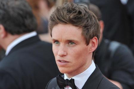 Eddie Redmayne darf sich noch einmal als Newt Scamander beweisen Eddie Redmayne darf sich noch einmal als Newt Scamander beweisen