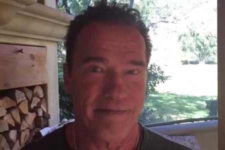Hier macht Arnold Schwarzenegger Donald Trump ein gewissermaßen 