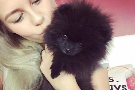 YouTuberin Dagibee (22) hat vor einiger Zeit einen eigenen Account für ihren Hund Zula erstellt und dieses Kuschel-Foto gepo...