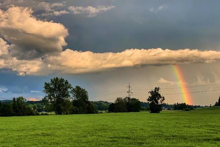 Wetterstationen im Überblick: Die besten Modelle 2021