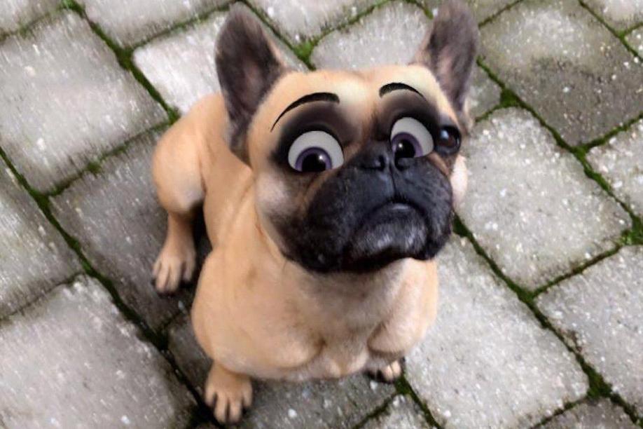 Eddike morfin Minde om Mit Snapchat wird Ihr Hund zu einer Disney-Figur! - freenet.de