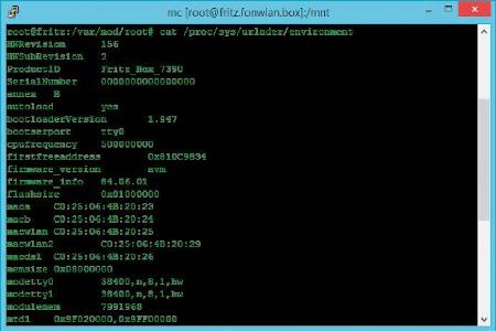 Befehle eingeben: Im Telnet- Fenster arbeiten Sie auf der Linux-Kommandozeile. Mit dem Befehl cat /proc/sys/urlader/environm...