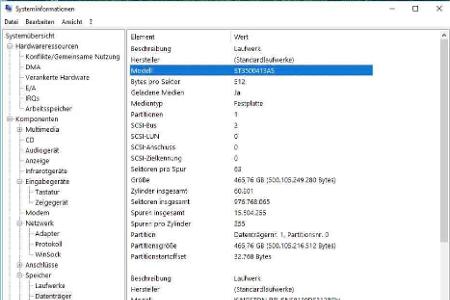 Oft wird die Hardware schon von den Windows-eigenen Systeminformationen identifiziert.