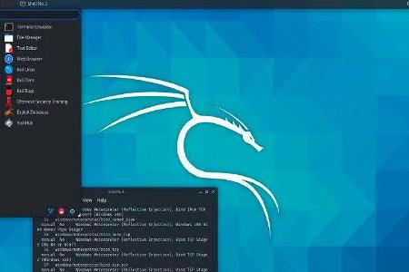 Kali Linux steht als Live System zur Verfügung. Sie enthält viele Hacker-Tools, mit denen sich Netzwerke auf Schwachstellen ...
