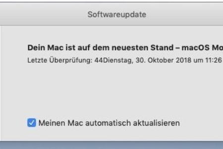 In den macOS-Systemeinstellungen lässt sich festgelegen, dass sich das Betriebssystem automatisch aktualisiert.