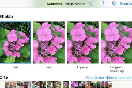 Mit iOS 11 können Sie ein Schlüsselbild eines Live Photos (ab iPhone 6S möglich) bestimmen und aus drei Effekten wählen.