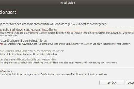 Das Setup-Tool von Ubuntu erkennt eine vorhandene Windows-Installation.