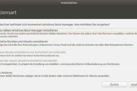 Das Setup-Tool von Ubuntu erkennt eine vorhandene Windows-Installation.