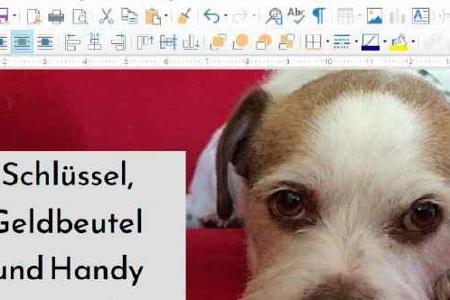 Im Libre Office Writer lassen sich Textdokumente mit Grafiken versehen