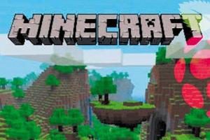 Der eigene Minecraft-Server - so geht's