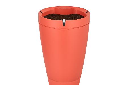 Parrot Pot