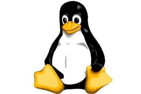 Linux Kernel - Nur für Profis! Die Basis eines Betriebssystems finden Sie in Linux Kernel. Die vielen verschiedenen Treiber,...