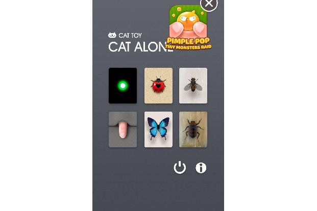 CAT ALONE - Cat toy