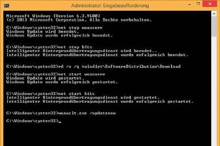 Über die Kommandozeile lassen sich die meisten Update-Fehler beheben.