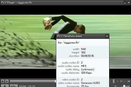 Der Gratis FLV Player spielt Videodateien ab, die im Flash-Video-Format (.FLV) vorliegen. Dieses kommt zum Beispiel bei Vide...
