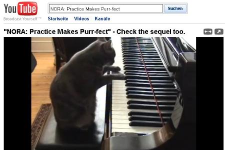 Diese Katze spielt Klavier.