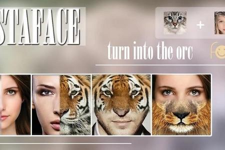 InstaFace: face eyes morph: Tigeraugen oder das Aussehen einer Katze sind mit dieser App leicht zu erstellen.