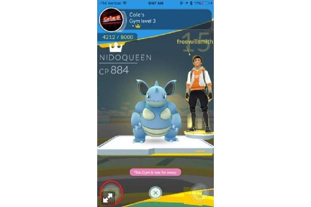 Der Pokémon-Vielfalt sind keine Grenzen gesetzt.
