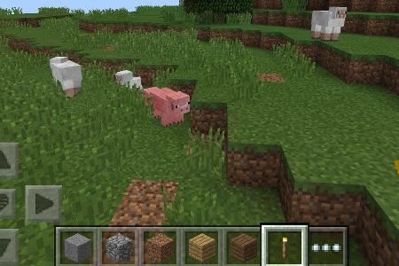 Minecraft - Pocket Edition