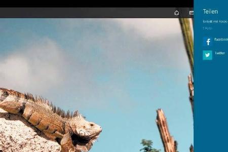 Das Verbreiten von Fotos auf Facebook oder Twitter gelingt direkt aus der App.
