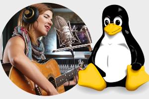 Linux Software: Professionelle Musikproduktion