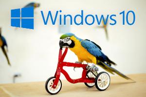 Zwölf nützliche Tipps für das neue Windows 10