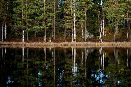 Das Bild ist von SIRHENRYB.is ****the dreamer**** - lizenziert unter CC BY-ND 2.0