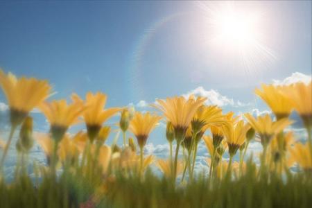 Coole Desktop-Wallpaper von Microsoft
