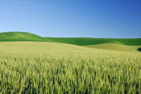 Coole Desktop-Wallpaper von Microsoft