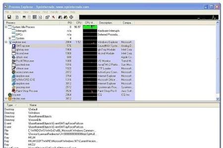 Process Explorer - Auf einen Blick sind hier sämtliche Anwendungen zu überblicken.