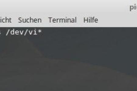 Nach dem Laden der Treiber, wird das Gerät per Befehl ls /dev/vi* überprüft.