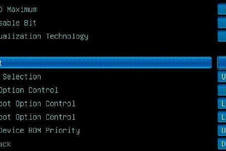 Zur Installation von Ubuntu auf einem Uefi-PC im Bios-Modus muss die CSM-Unterstützung aktiviert sein.