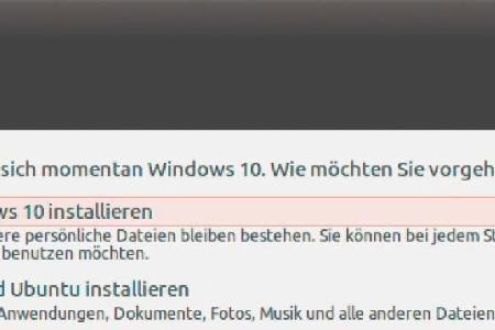 Bei einer vorhandenen Windows-Installation bietet Ubuntu eine Parallelinstallation an.