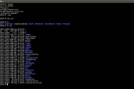 Mit dem Befehl Is lassen sich Dateien und Verzeichnisse anzeigen in denen man gerade aktiv ist.