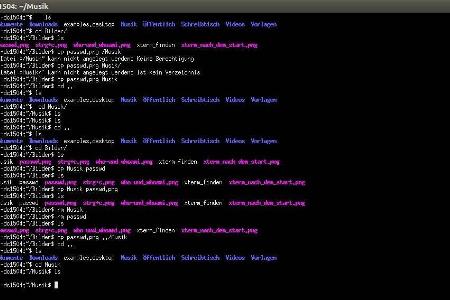 Mit den Befehl cp lassen sich Dateien oder Verzeichnisse kopieren.