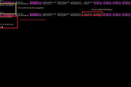 Zum Anzeigen des Inhalt einer Textdatei kommt der Befehl cat Dateiname zum Einsatz.