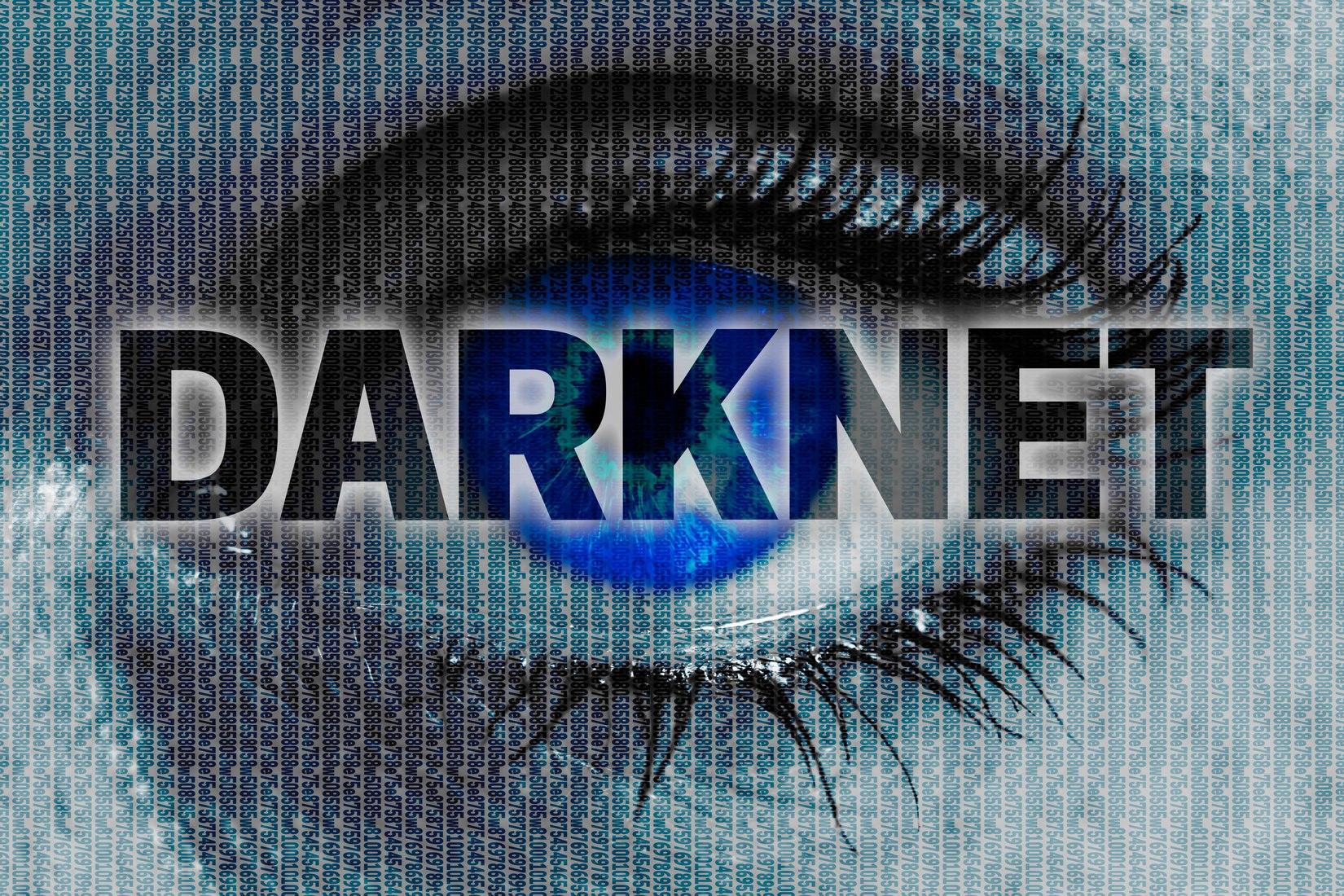 Darknet freenet darknet что это такое mega2web