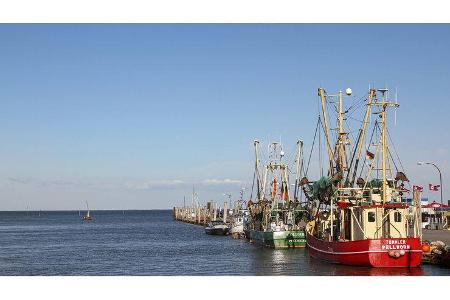 Roadtrip Pellworm Nordsee
