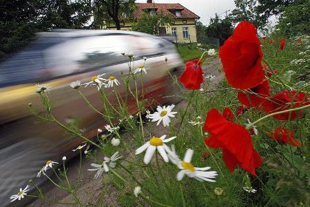 Rallye Polen 2009