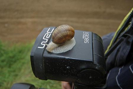 Rallye Polen 2009