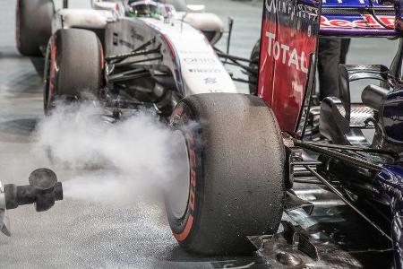 Danis Bilderkiste - GP Singapur 2014