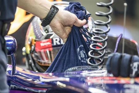 Danis Bilderkiste - GP Singapur 2014